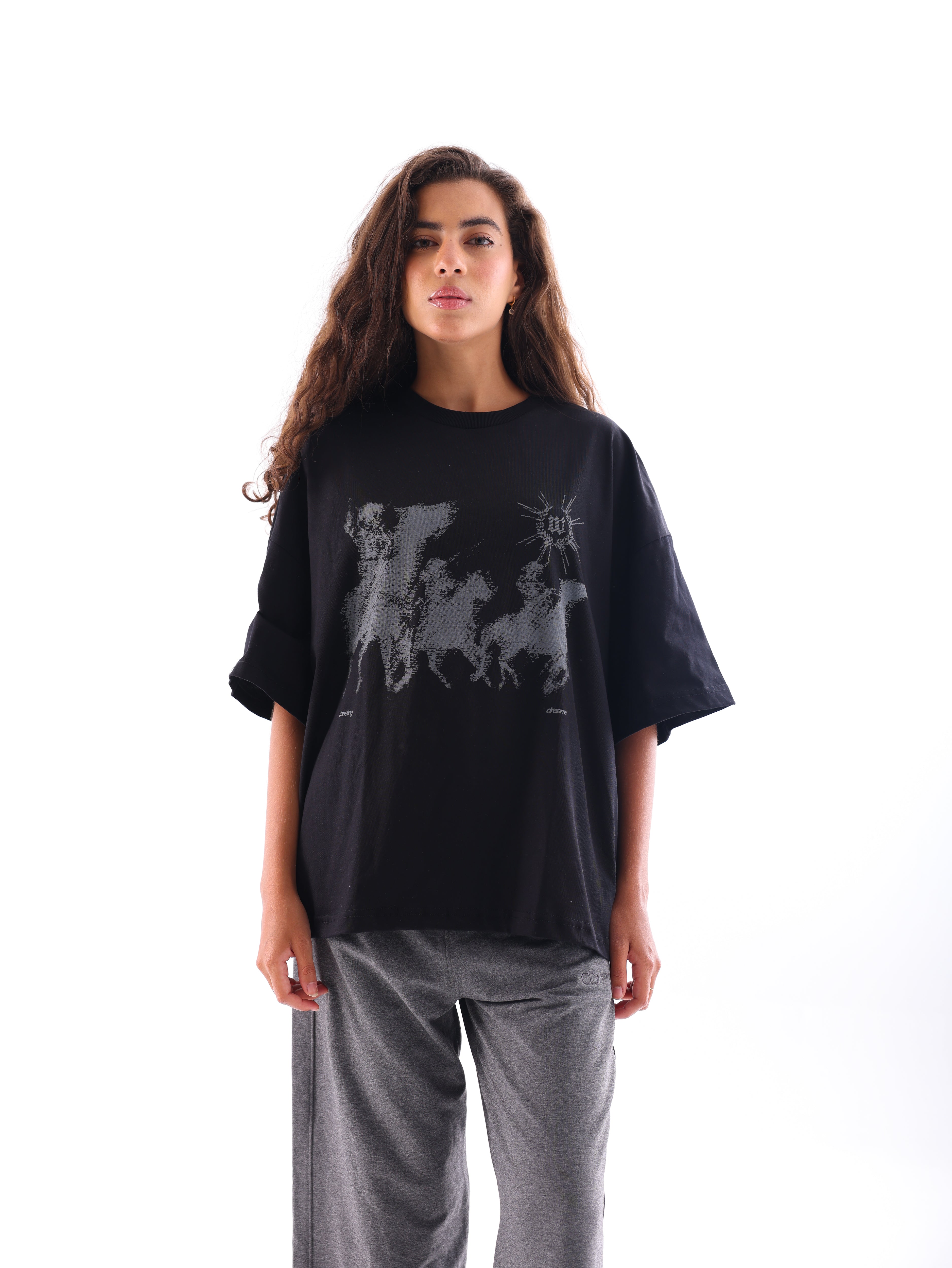 Chasing Dreams T-Shirt