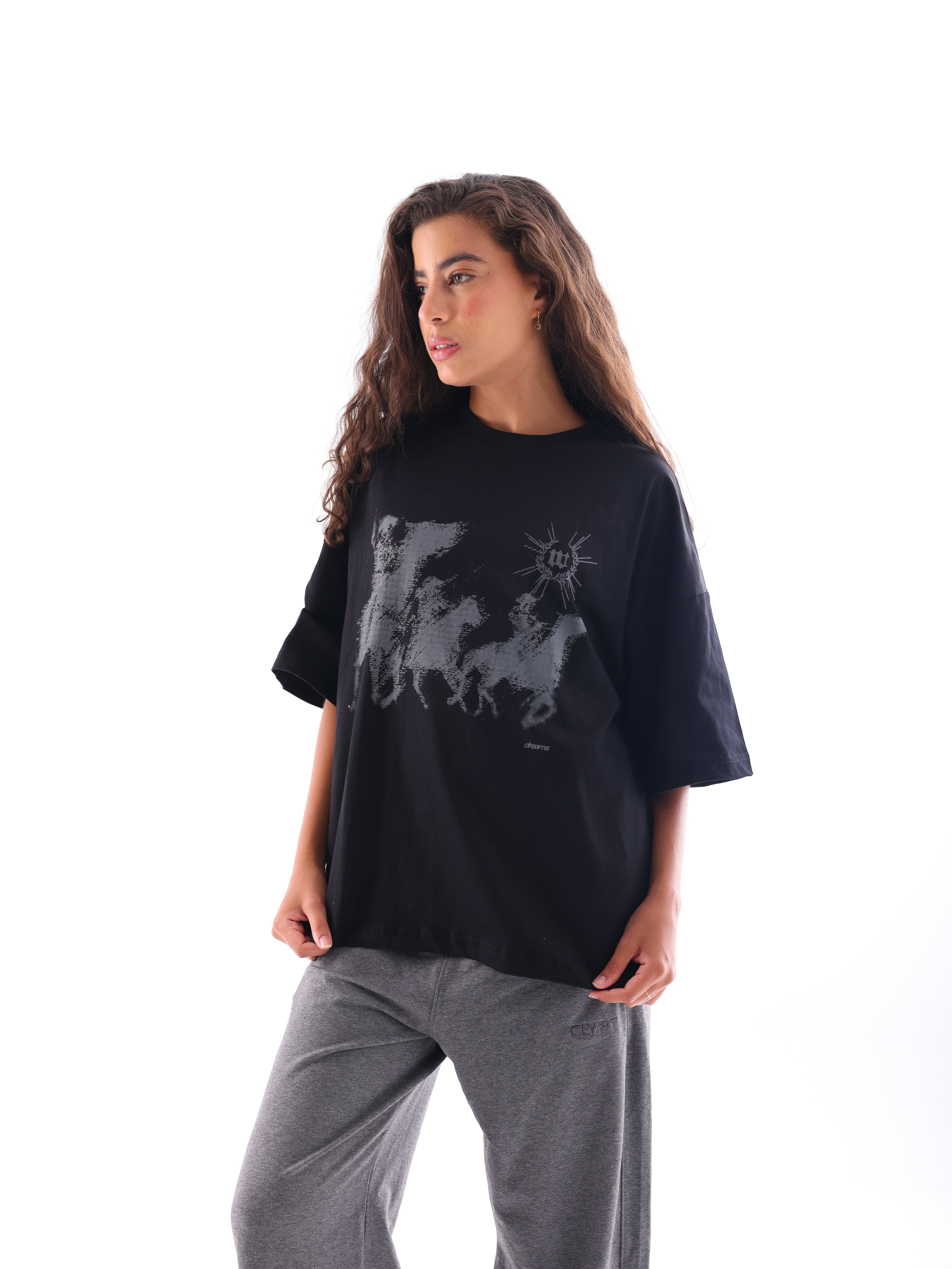 Chasing Dreams T-Shirt