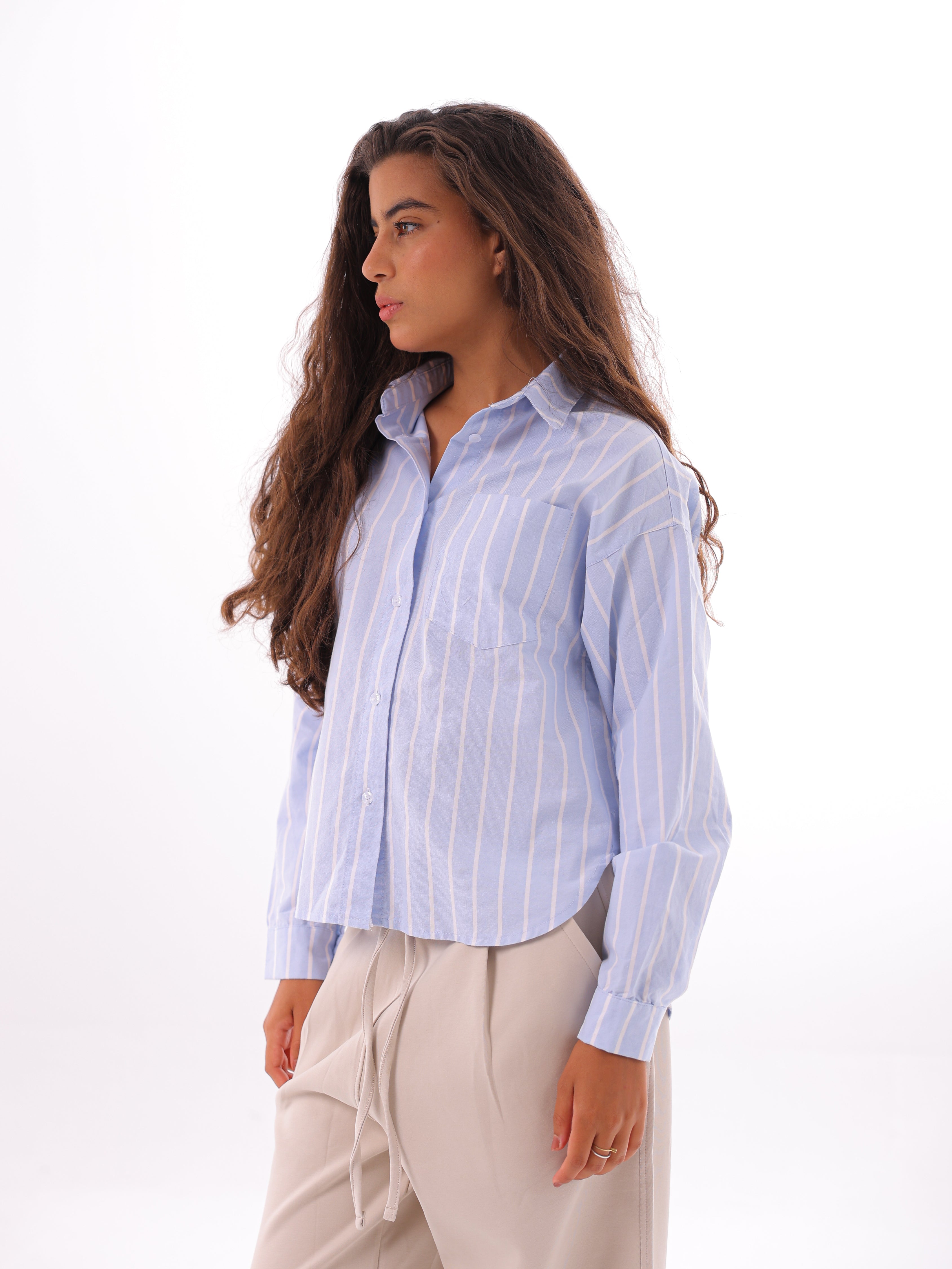Striped Oxford Basic Blouse