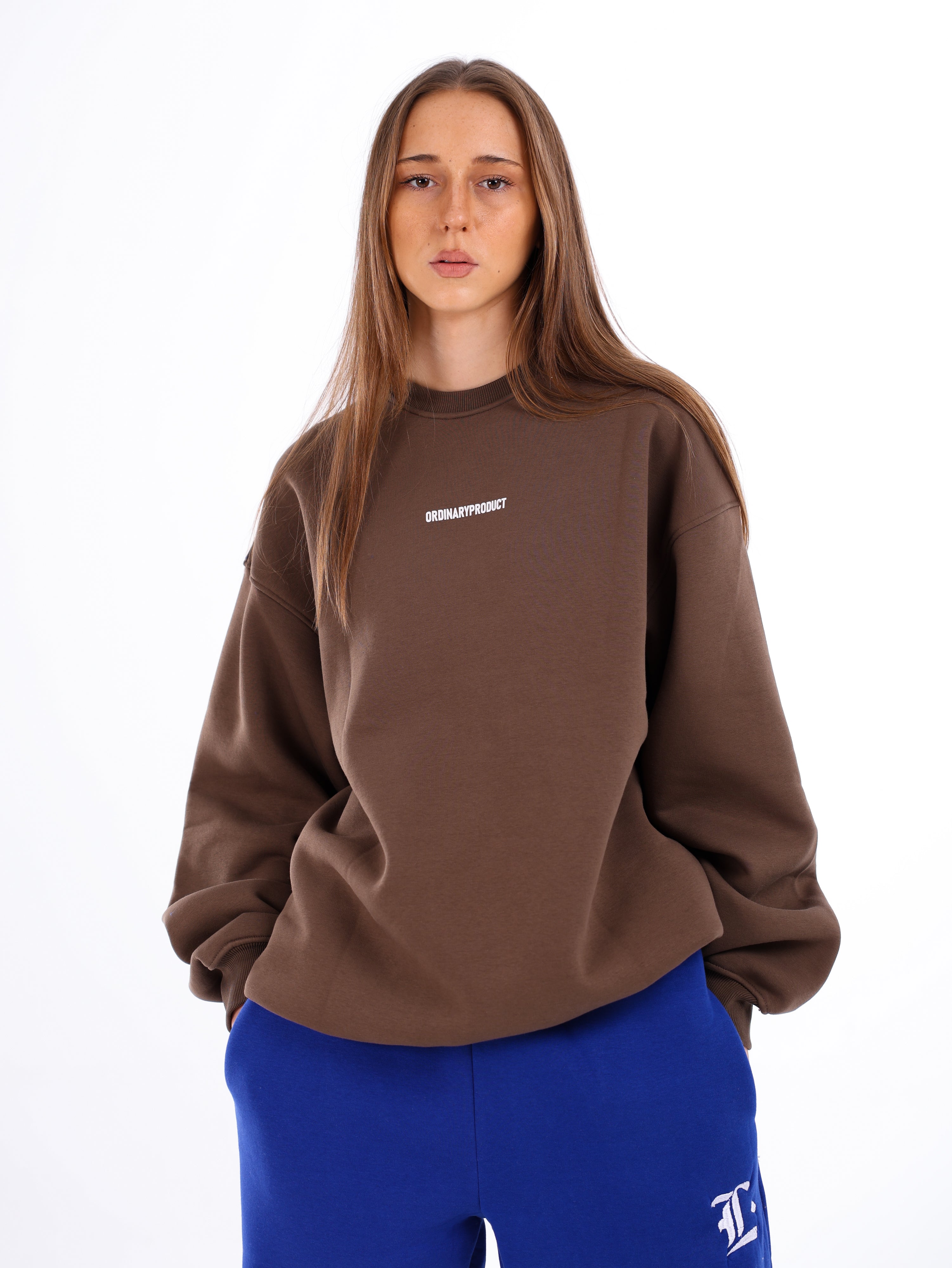 Ordinary Sweatshirt