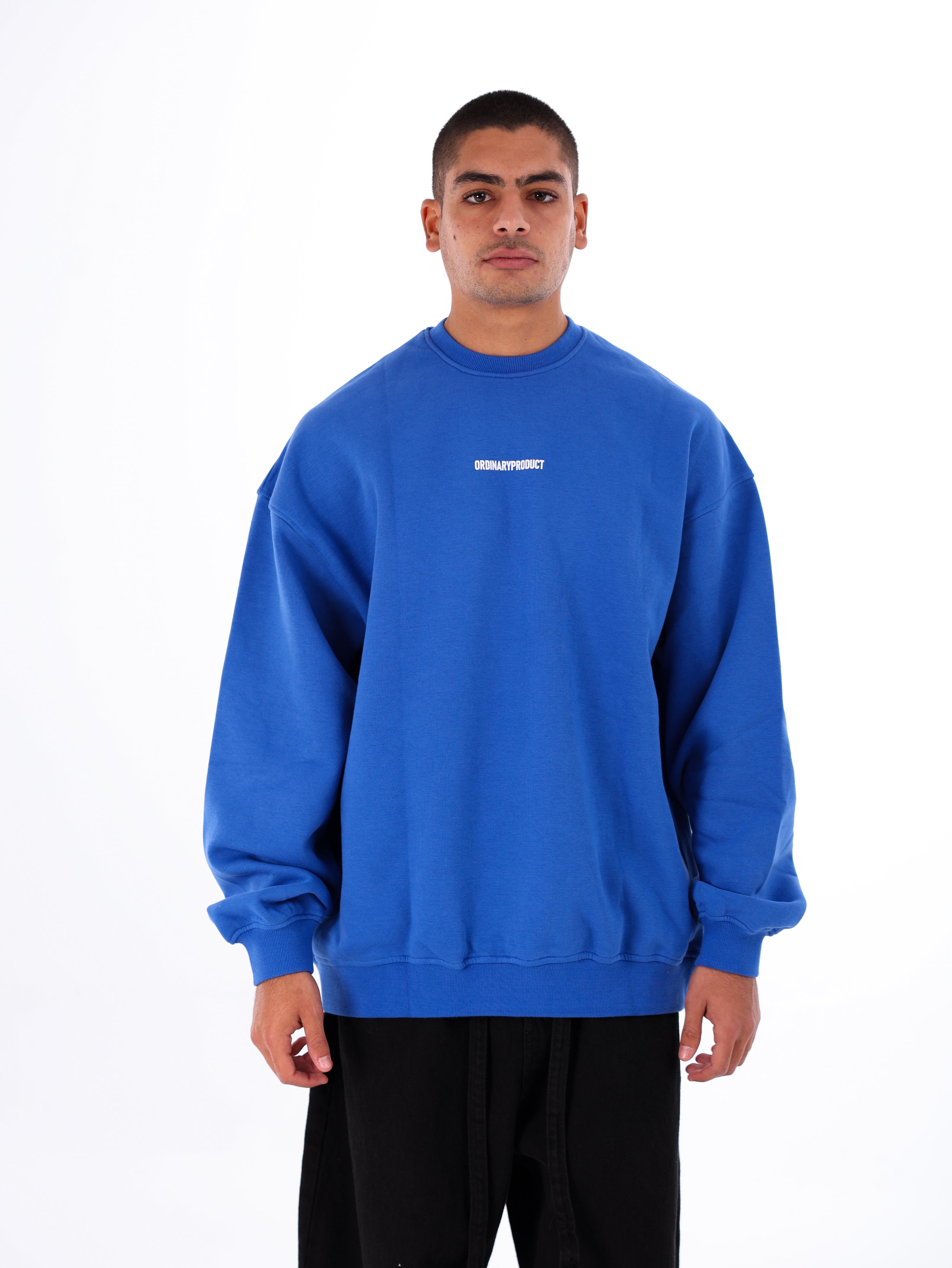 Ordinary Sweatshirt