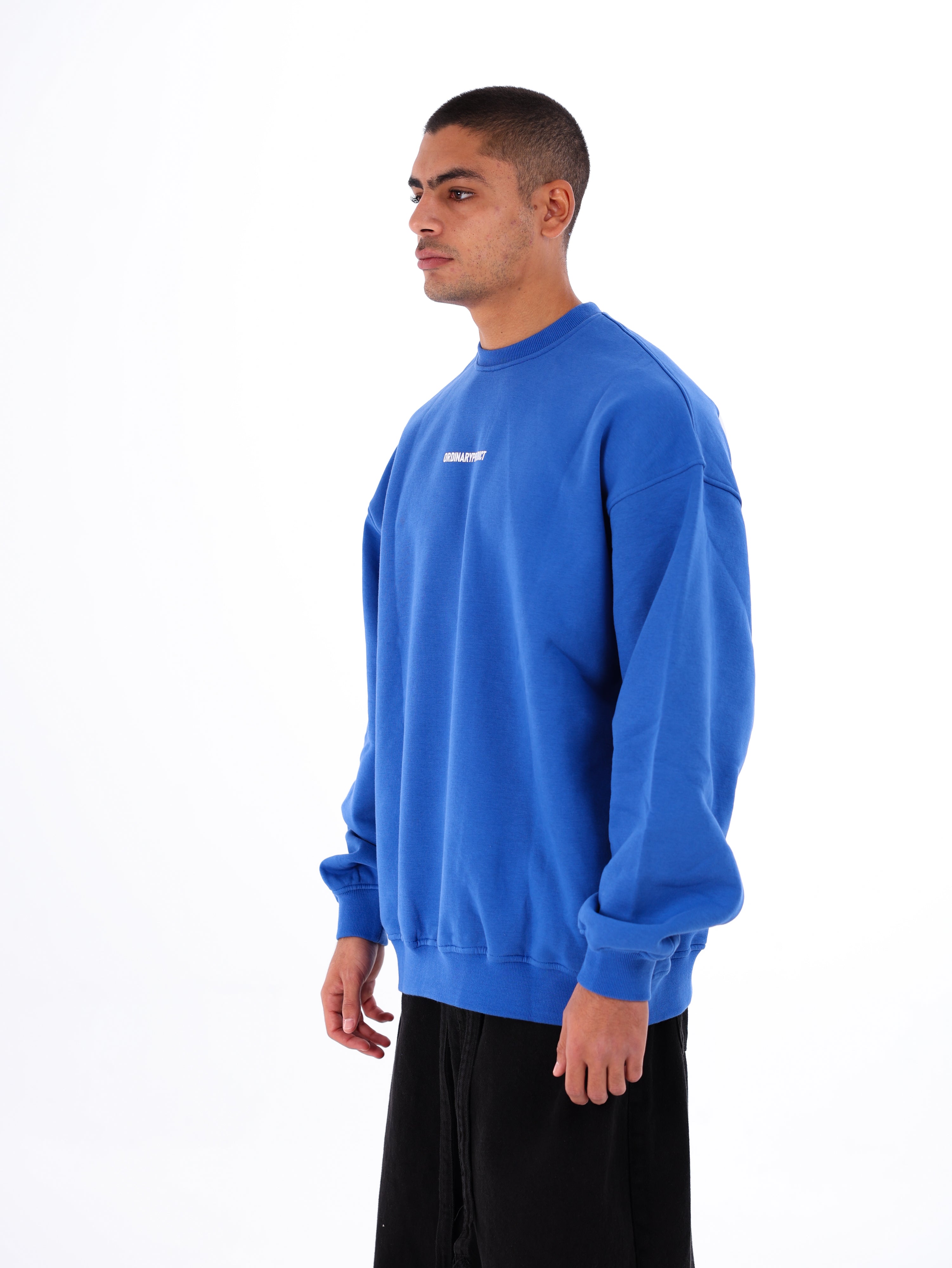Ordinary Sweatshirt