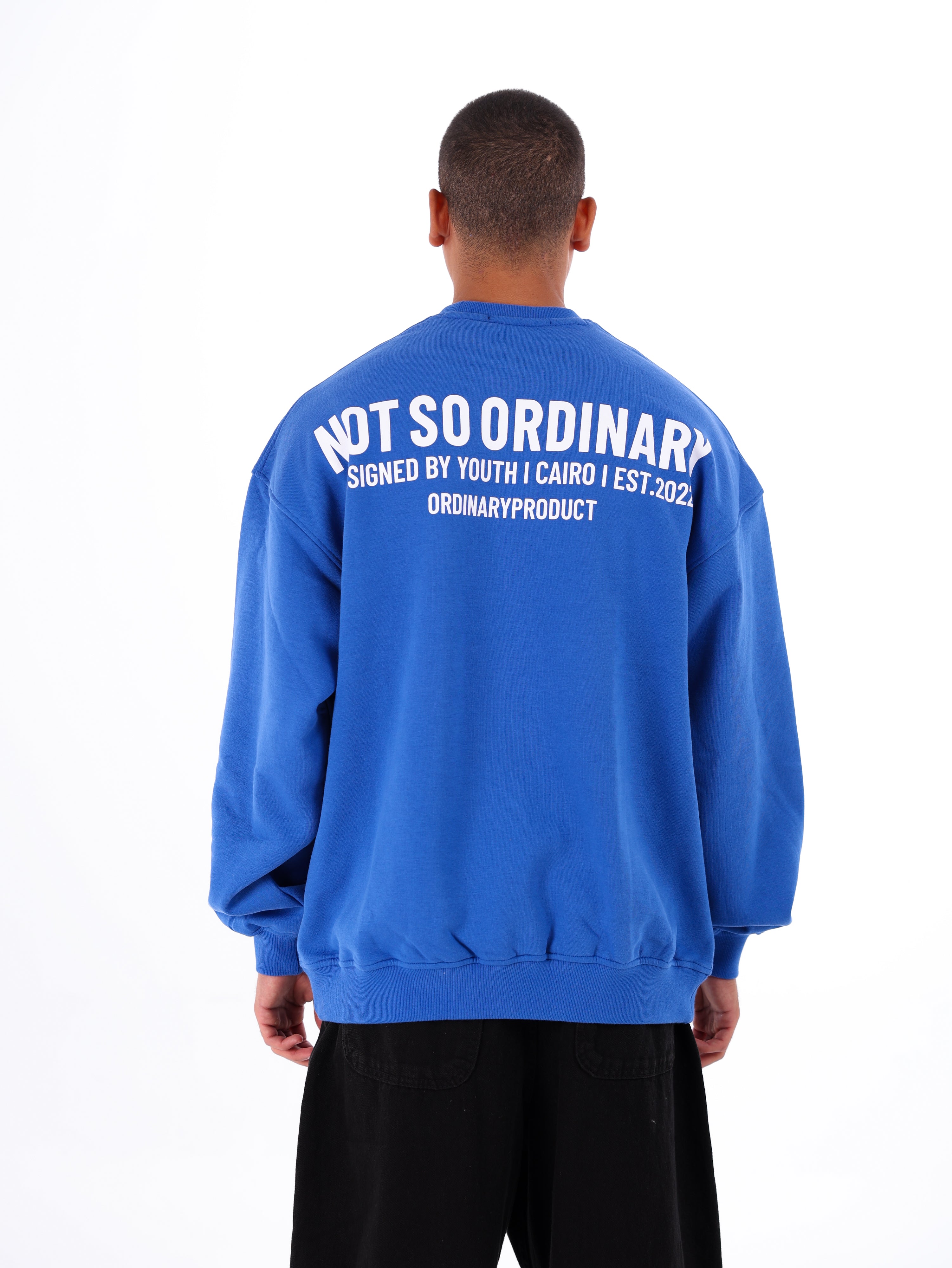 Ordinary Sweatshirt