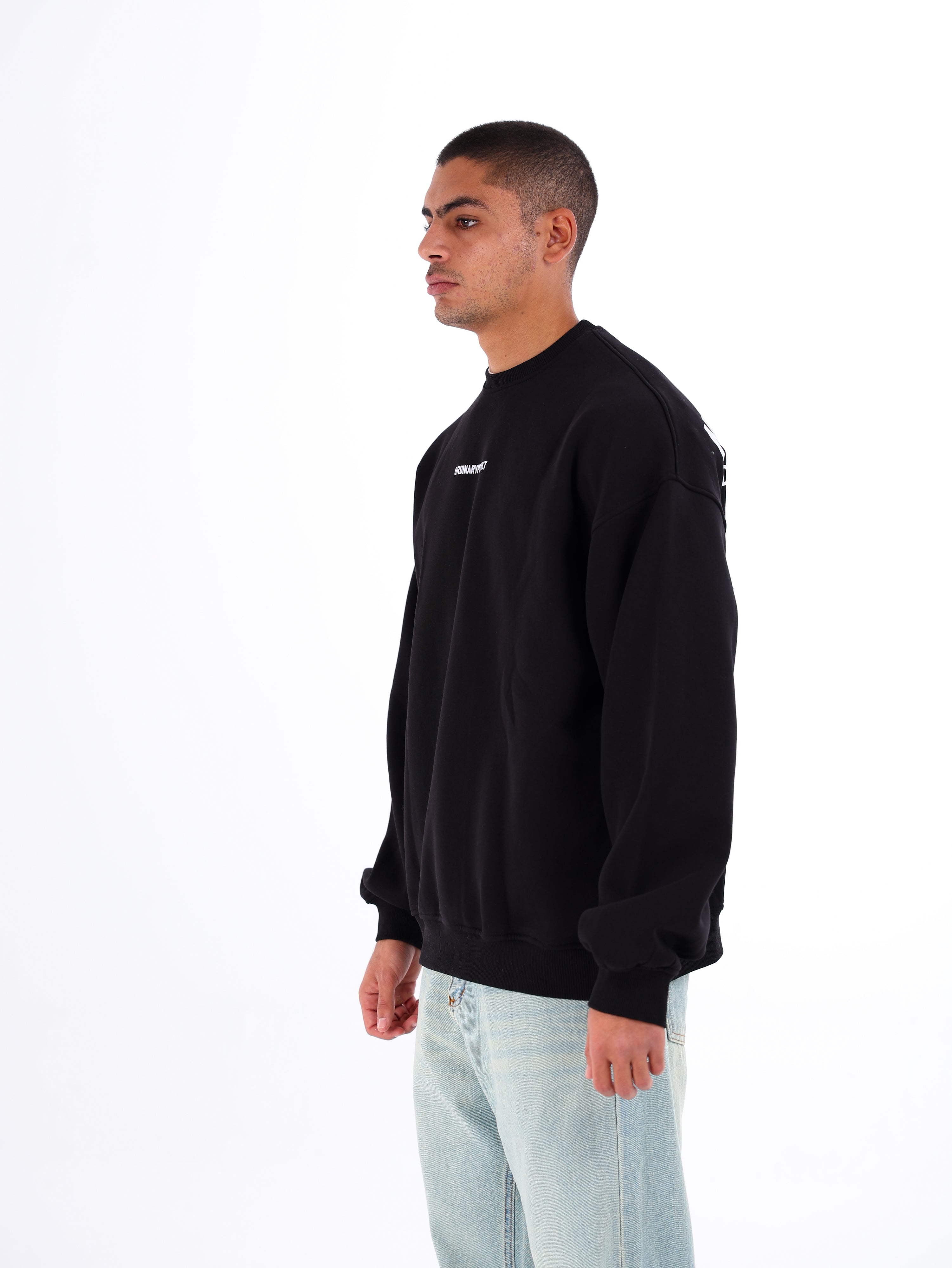 Ordinary Sweatshirt