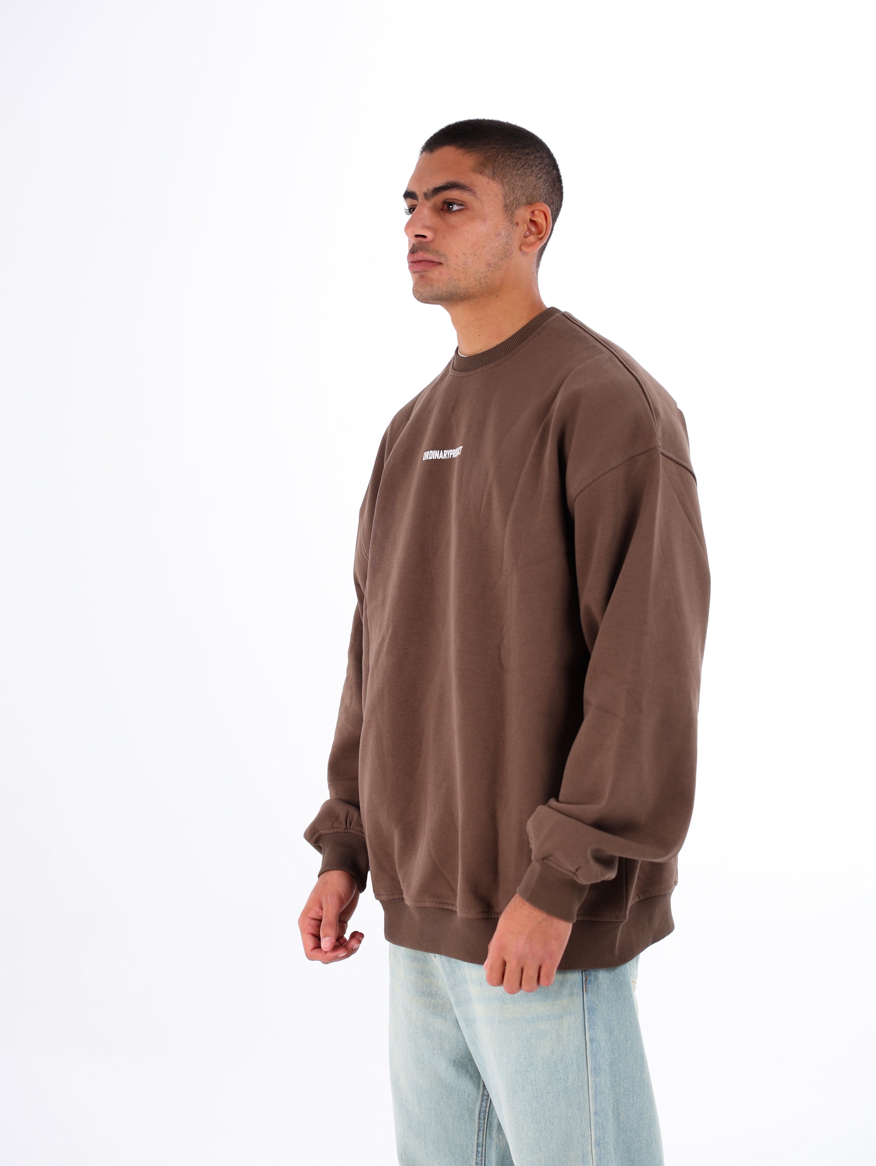 Ordinary Sweatshirt