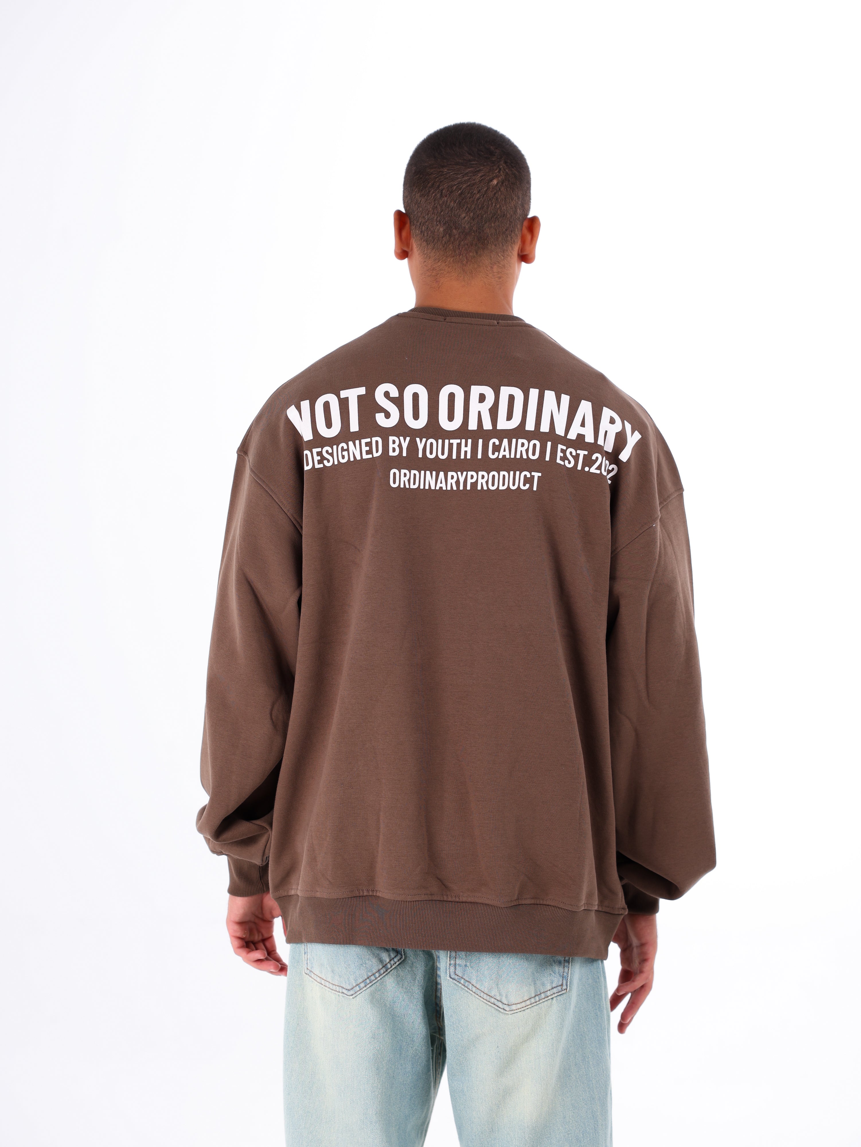 Ordinary Sweatshirt