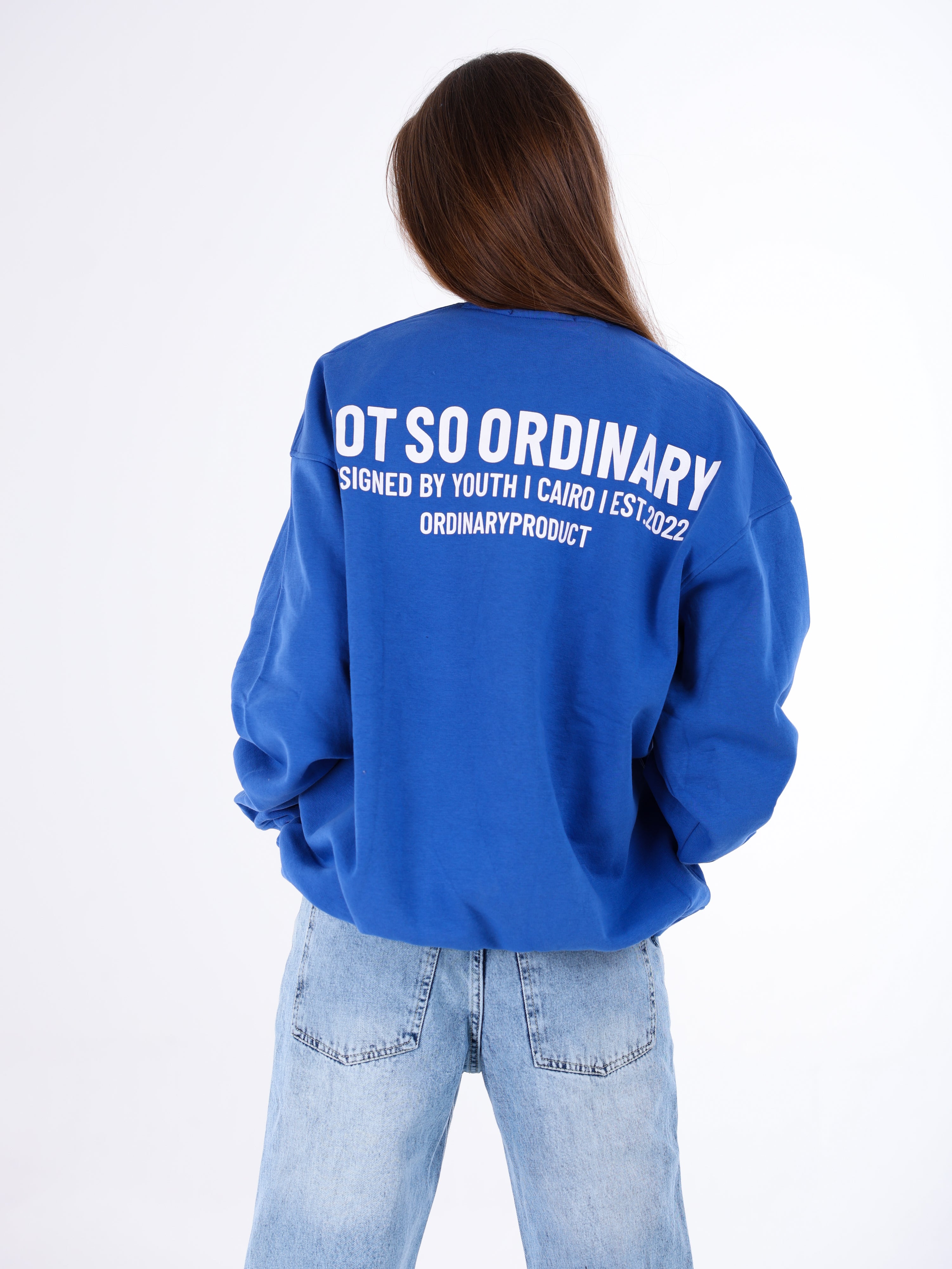 Ordinary Sweatshirt